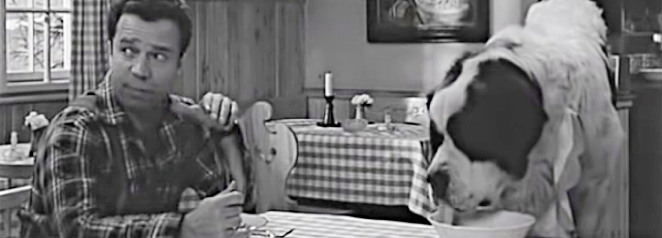 esk-kr-tk-filmy-d-ve-narozen